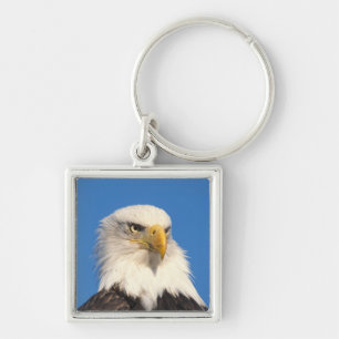 Bald Eagle Look Schlüsselanhänger