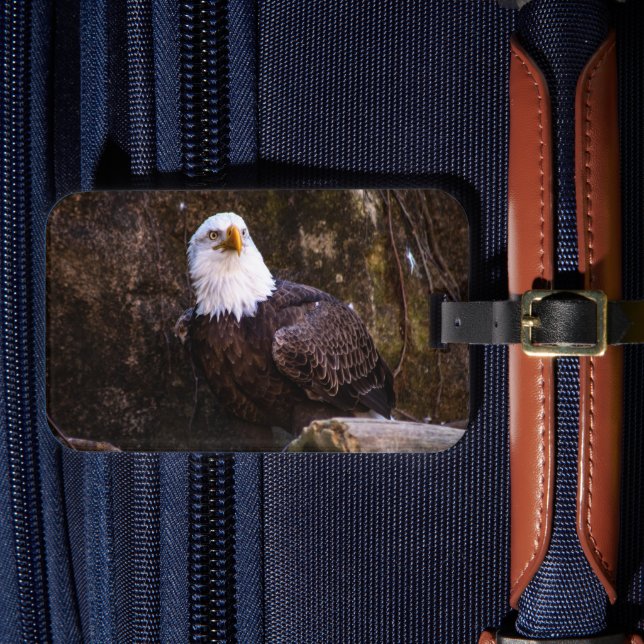 Bald Eagle Luggage Tag Gepäckanhänger (Vorderseite Insitu 4)