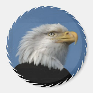 BALD EAGLE - MAGNET