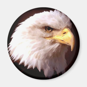 Bald Eagle Magnet