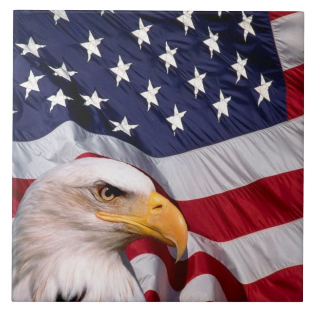 Bald Eagle mit amerikanischer Flagge Fliese (Vorderseite)