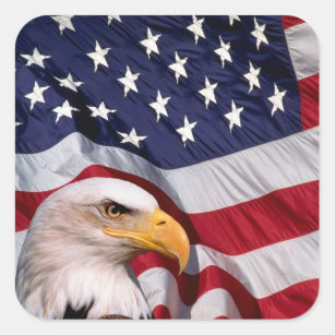 Bald Eagle mit amerikanischer Flagge Quadratischer Aufkleber