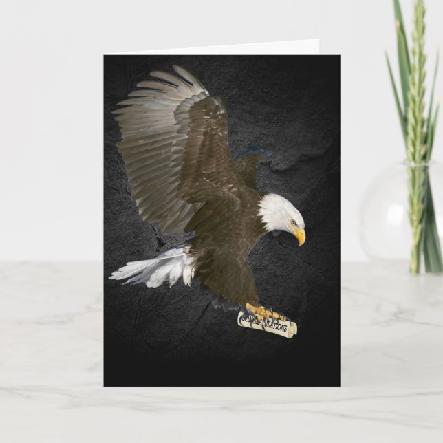 Bald Eagle mit Glückwunsch Grad Diploma Karte (Vorderseite)