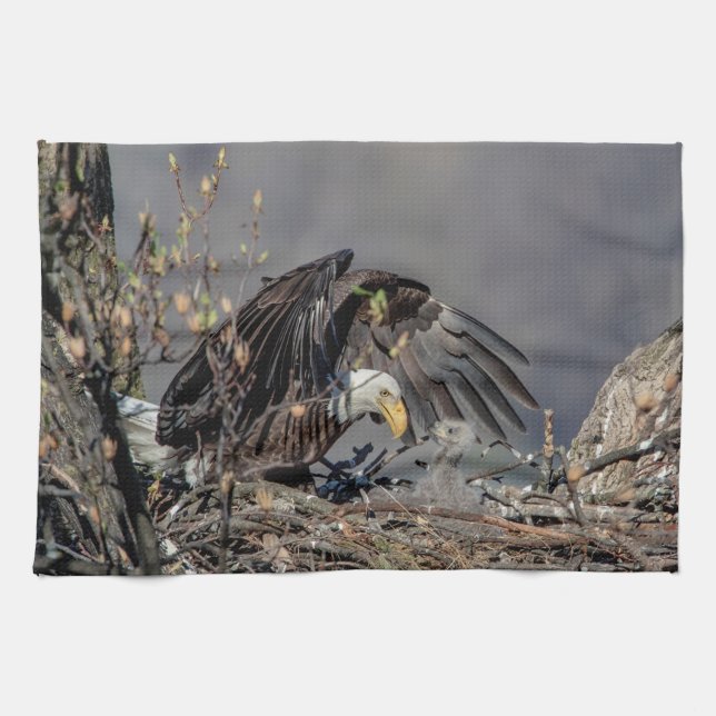 Bald Eagle mit ihrem Baby Handtuch (Horizontal)