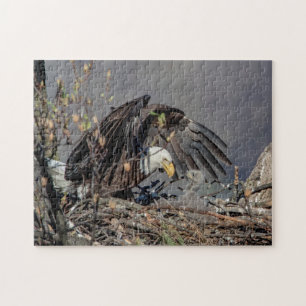Bald Eagle mit ihrem Baby Puzzle