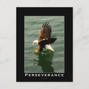 Bald Eagle Motivierend Postkarten