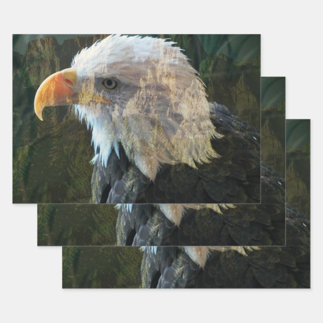 Bald Eagle Mountain Geschenkpapier Set (Set)