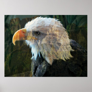 Bald Eagle Mountain Poster