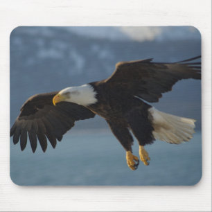 Bald Eagle Mousepad