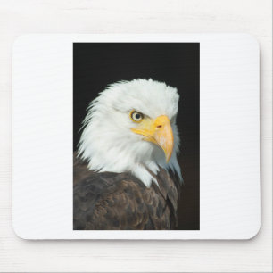 Bald Eagle Mousepad