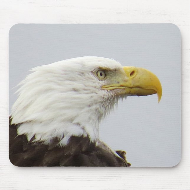 Bald Eagle Mousepad (Vorne)