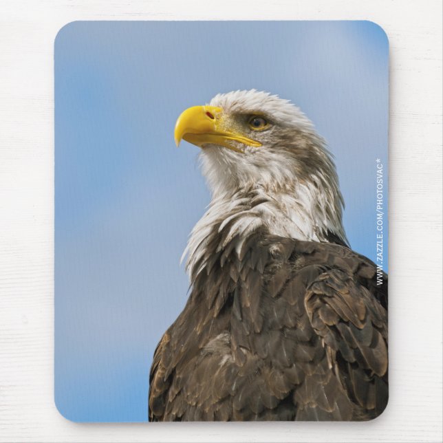 Bald Eagle Mousepad (Vorne)
