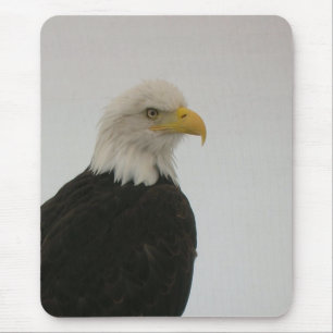 Bald Eagle Mousepad
