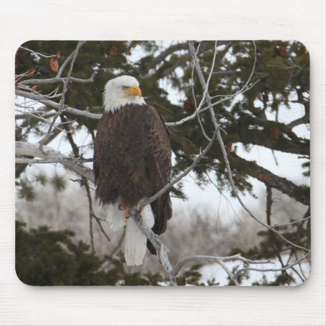 Bald Eagle Mousepad (Vorne)
