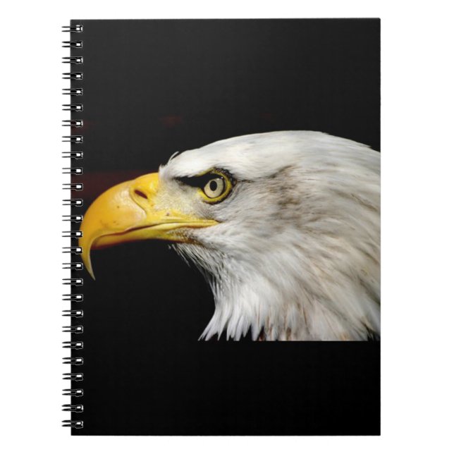 Bald Eagle Notizblock (Vorderseite)