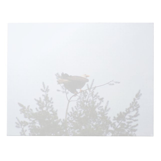 Bald Eagle Notizblock (Vorderseite)
