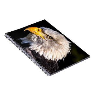 Bald Eagle Notizblock