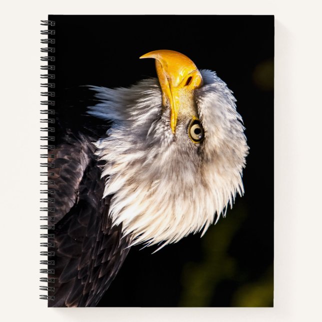 Bald Eagle Notizbuch (Vorderseite)