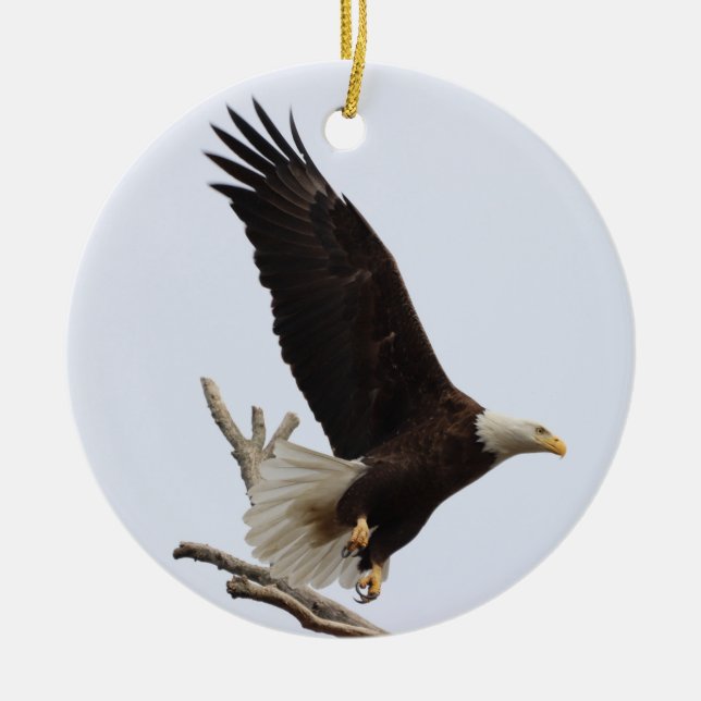 Bald Eagle of Columbiana Ohio Ornament (Vorne)
