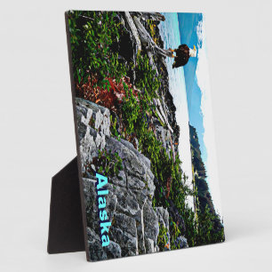 Bald Eagle On Alaska Coast Fotoplatte