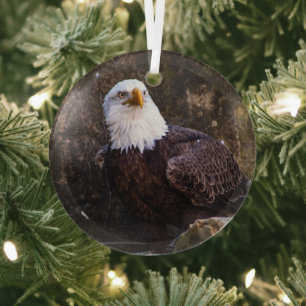 Bald Eagle Ornament Aus Glas