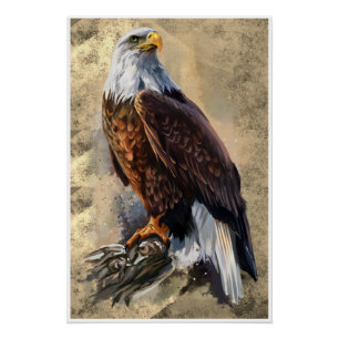 Bald Eagle Painting Poster
