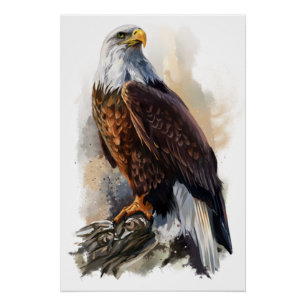 Bald Eagle Painting Poster