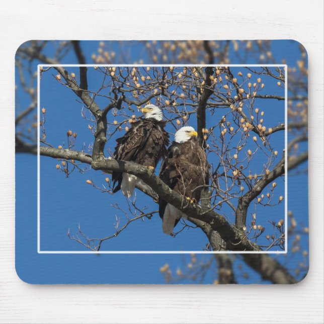 Bald Eagle Pair Mousepad (Vorne)
