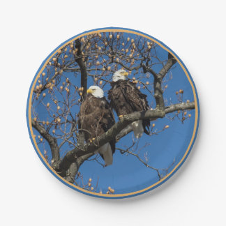 Bald Eagle Pair Pappteller