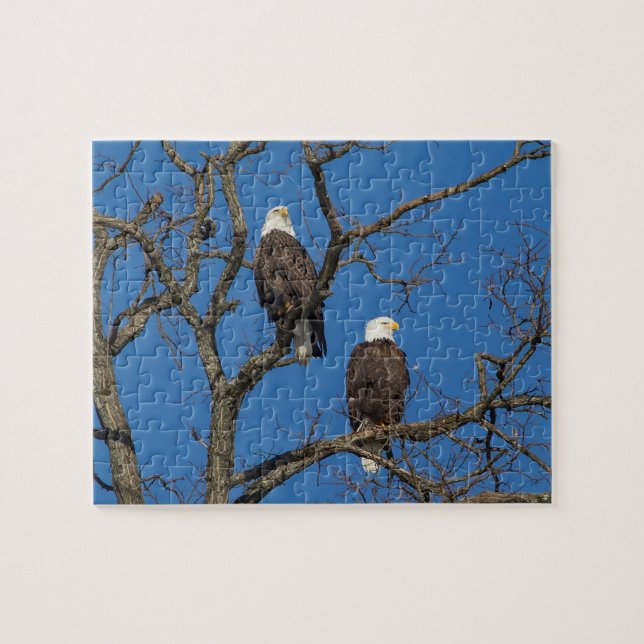 Bald Eagle Pair Puzzle (Horizontal)