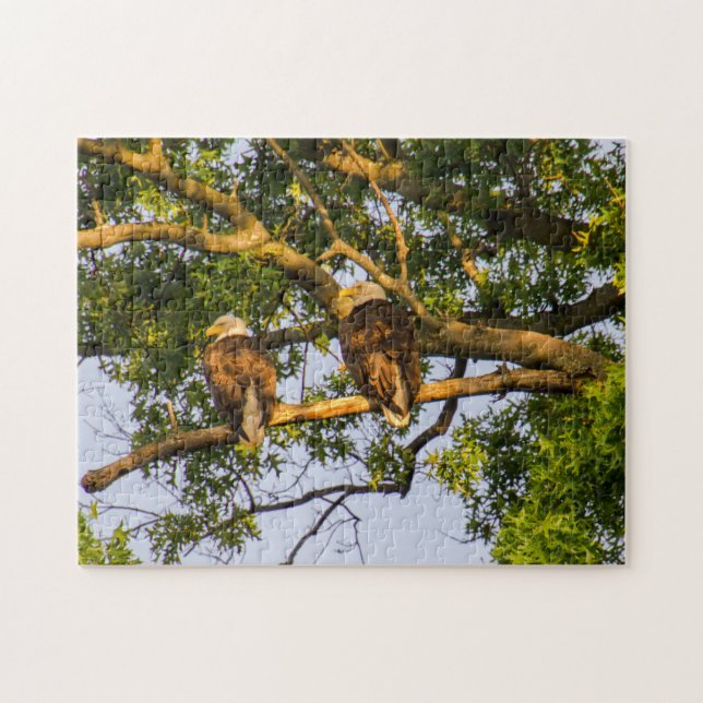 Bald Eagle Pair  Puzzle (Horizontal)