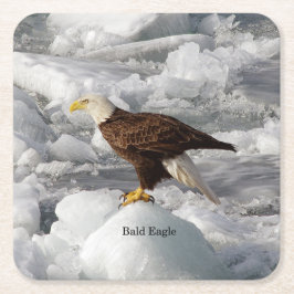 Bald Eagle Paper Untersetzer