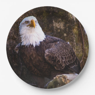 Bald Eagle Pappteller