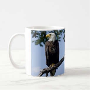 Bald Eagle Parent Kaffeetasse