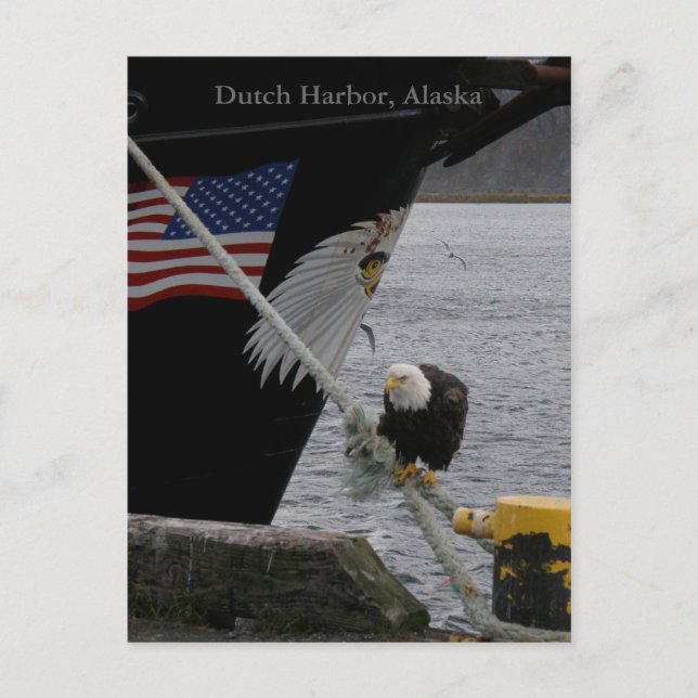 Bald Eagle Perched on a Mooring Line, Dutch Harbou Postkarte (Vorderseite)
