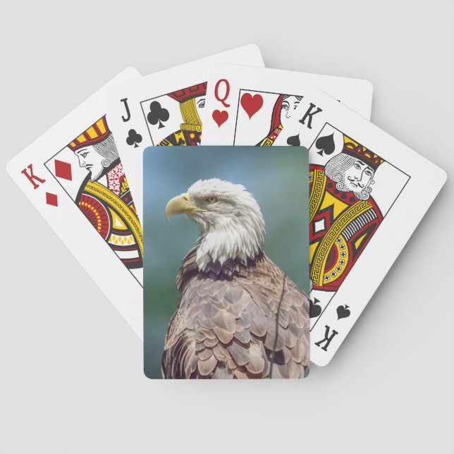 Bald Eagle Playing Cards Spielkarten (Rückseite)