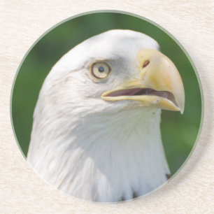 Bald Eagle Portrait Getränkeuntersetzer