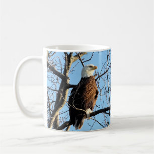 Bald Eagle Portrait Kaffeetasse