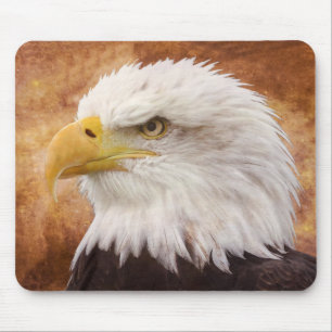 Bald Eagle Portrait Mousepad