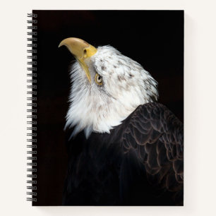 Bald Eagle Portrait Notizbuch