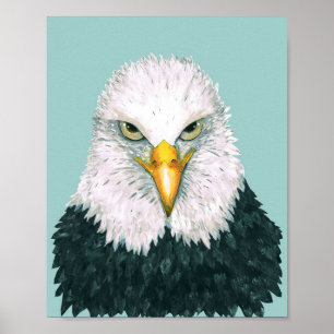 Bald Eagle Portrait Poster