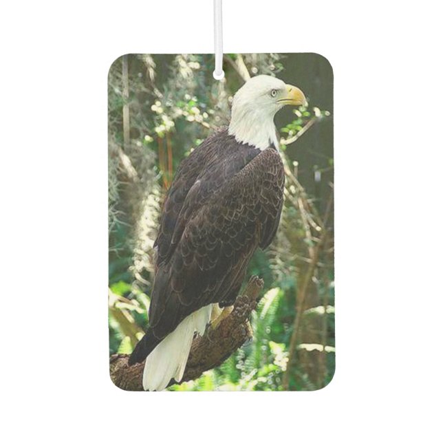 Bald Eagle Portrait Rectangle Air Freshener Autolufterfrischer (Vorderseite)