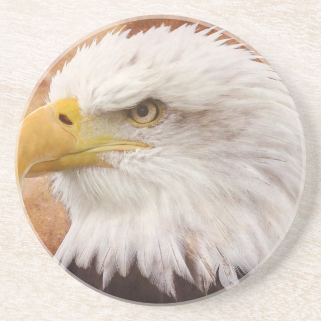 Bald Eagle Portrait Untersetzer (Vorne)