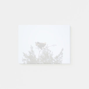 Bald Eagle Post-it Klebezettel