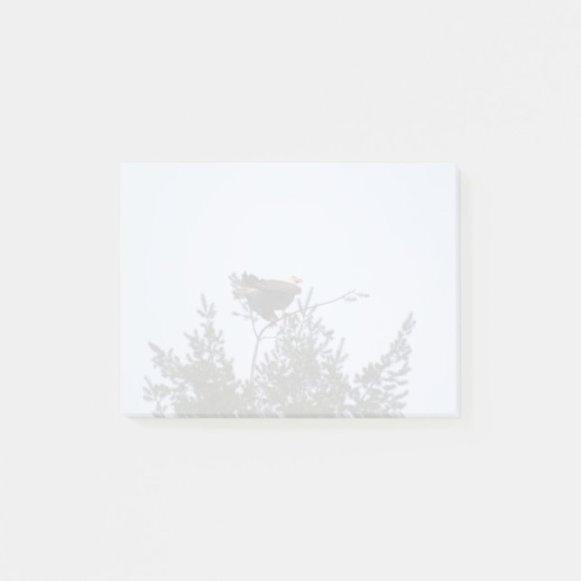 Bald Eagle Post-it Klebezettel (Vorderseite)