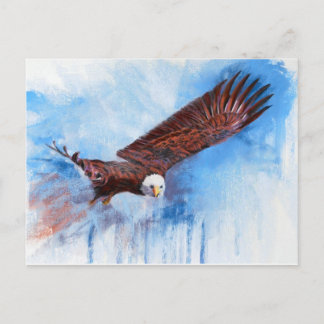 Bald Eagle Postkarte
