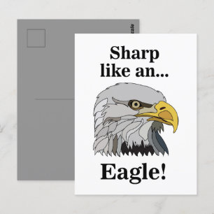 Bald Eagle Postkarte