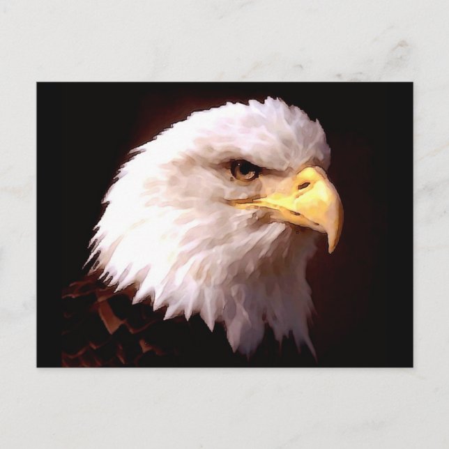Bald Eagle Postkarte (Vorderseite)