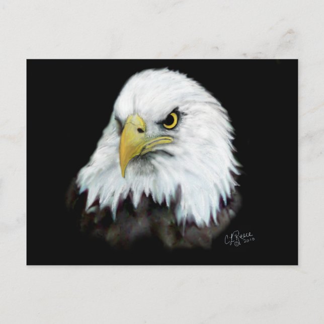 Bald Eagle Postkarte 2 (Vorderseite)