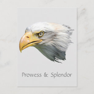 Bald Eagle Prowess & Splendor anpassbar Postkarte